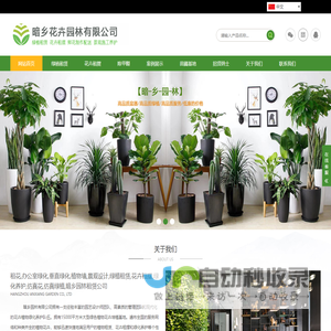杭州绿植租赁,杭州植物租赁,杭州办公室植物,杭州花卉市场,杭州除甲醛-暗乡园林有限公司